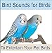 Bird Sounds for Birds: To Entertain Your Pet Bird, Parrots, Cockatiel & Cockatoo