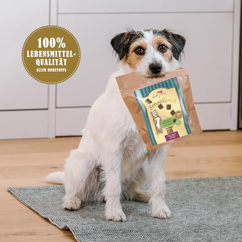 Terra Canis Sensations - Mighty Munchies 90g I Softe Textur und besonders schmackhaft I Premium Snack für Hunde in 100% Lebensmittelqualität Aller Rohstoffe I Getreidefrei & glutenfrei (Pferd)