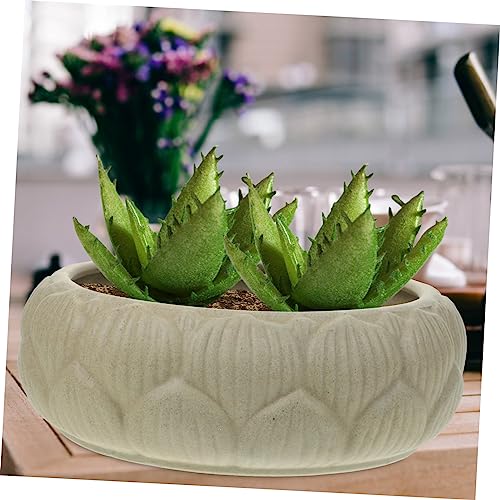 Pot de fleurs hydroponiques en céramique pour stopper l'excès d'eau