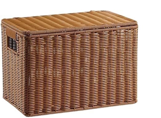 Boîte de rangement grand volume 36x22x24 cm pour optimiser l'armoire