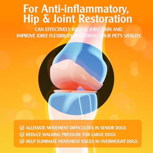 Kurkum- und Curcumin Tropfen für Hunde & ältere Hund & ArbeitsHunde: Gelenkbeweglichkeit und -flexibilität, Schmerzgenesung, Verdauung, Gehirn, Leber, Knochen, Muskeln, Haut, Fell – bessere Resorption