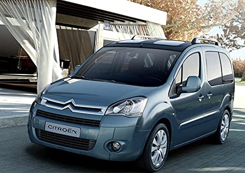 ASC CITROEN BERLINGO II serie MULTISPACE dal