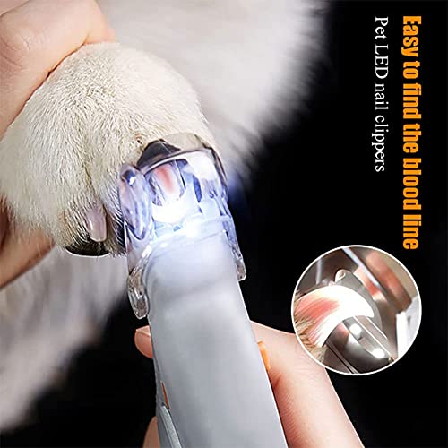 Pet Supplies Nail Clippers Pet Hond Kat Nagels Teen Klauw Schaar Met LED Licht Vergrootglas Anti-cut Bloedlijn Nail Clippers - Image 6