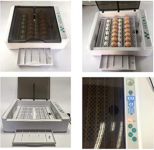 Ei incubator, 36 eieren Volautomatische Poultry Hatcher Machine, LED Candler Automatische Egg Turner Temperatuurregeling… - Afbeelding 4