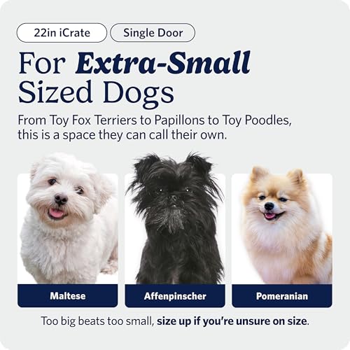 Image of MidWest Homes for Pets 22-Inch iCrate for Extra-Small Breeds, Up to 15 lbs, Single Door Folding Dog Crate with Divider Panel, Leak-Proof Tray & Secure Latch, Portable, Durable & Easy to Assemble
