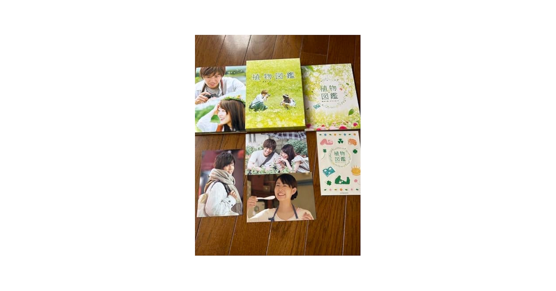 Amazon.co.jp: 植物図鑑 運命の恋,ひろいました 豪華版 岩田剛典