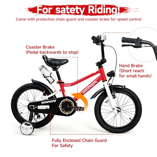 Image of WinHope Kids Bike with Headlight, 12-20 Inch Pedal Bike for 2-12 Boys Girls | Dual Brake with Training Wheels Water Bottle for Summer Outdoor Riding Birthday Gift for Toddlers
