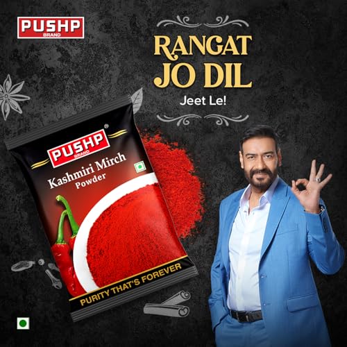 Image of Pushp Brand Kashmiri Red Chilli Powder (Pouch Pack of 1, 500gm)