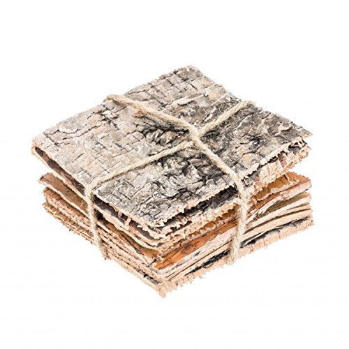 Preisvergleich Produktbild NaDeco Birkenrinde 10x10cm 10Stk. Birkenplatten Birkenrindenplatten Baumrinde
