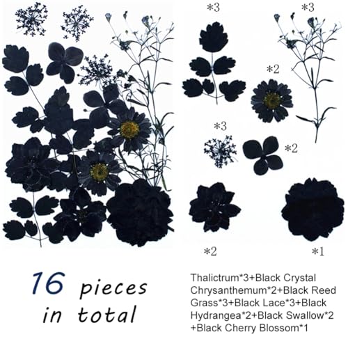 Set de 3 Flores Secas Negras Prensadas para Manualidades miniatura 4