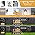 Porch Lights with GFCI Outlet, Dusk to Dawn Motion Sensor Outdoor Light, 3 Lighting Modes Exterior Fixture, Outside for House Front Door Patio Garage(2 Pack Black)