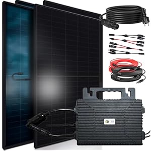 51vA3XyjNzL. SL500 . SS300