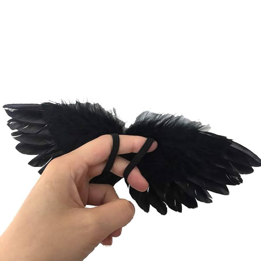 Amazon.com: GSHLLO 2 Pcs Mini Black Angel Feather Wings for