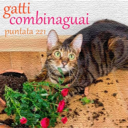 Puntata 221 - Gatti combinaguai