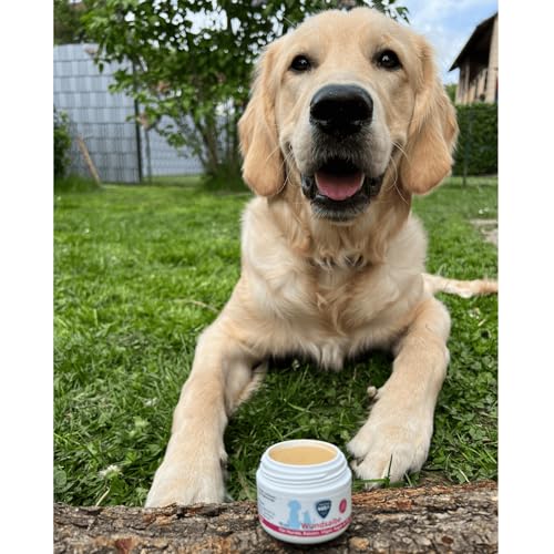 marsavet+ 30ml Wundsalbe für Hunde, Katzen, Vögel, Nagetiere, Pferde und mehr. Zink, Propolis, Hyaluron und D-Panthenol - fördert die Heilung und verhindert Hautentzündungen. Premium-Qualität.