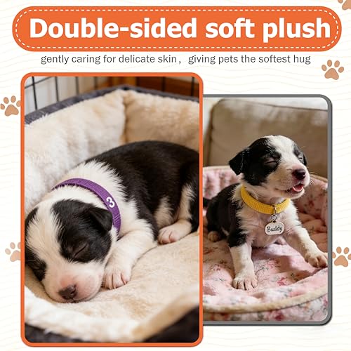Image of Newborn Puppy Collar Set of 12 with Numbered Tags & Weight Tracker Chart, Soft Adjustable Kitten Collar, Puppy Collars for Litter, Whelping Supplies for Kitten Small Dogs (S /M /L) (M)