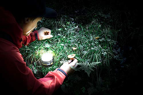 Brennenstuhl BS-1171540-Foco LED multif. Out.OLI