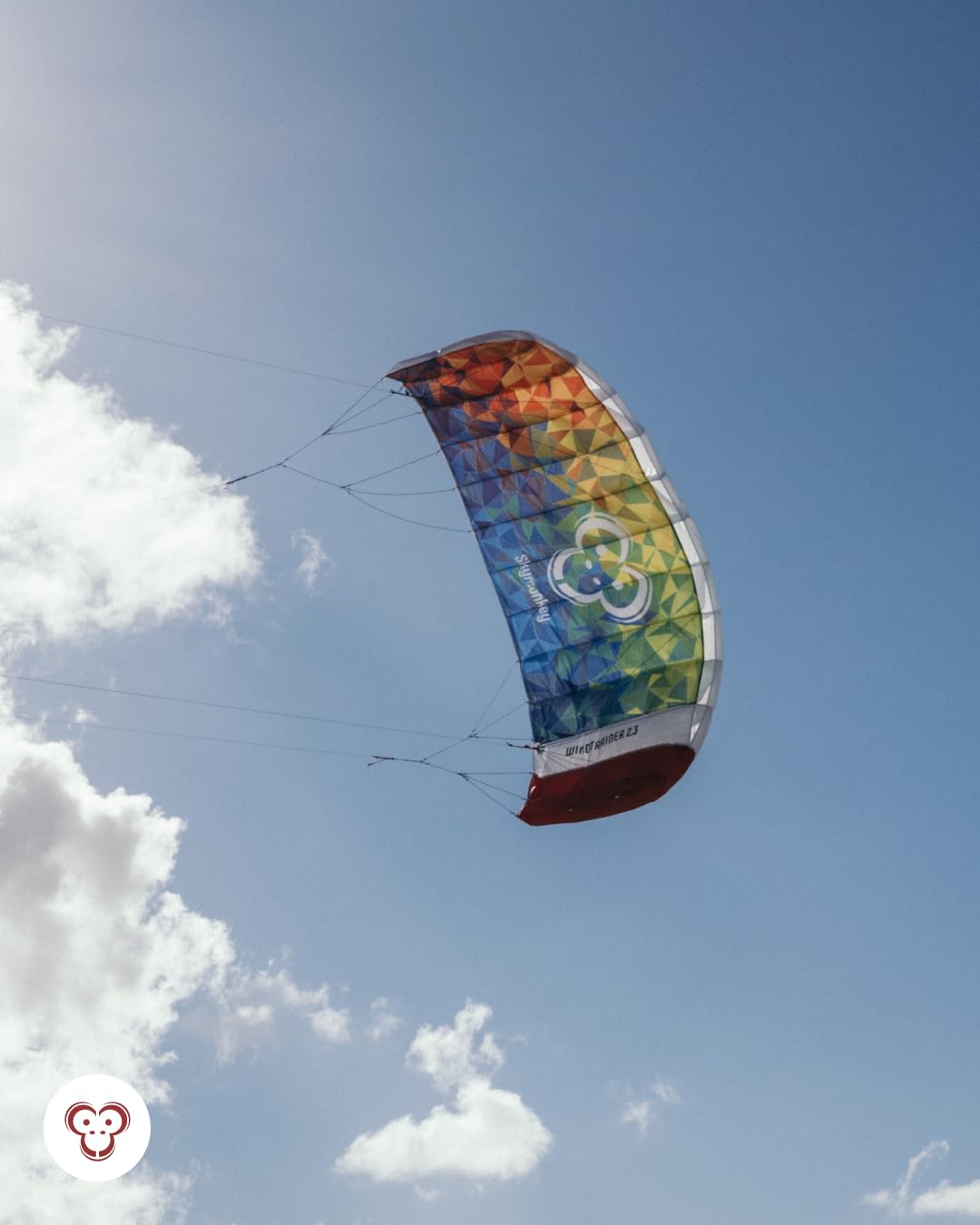 Skymonkey Windtrainer 3.3 Parafoil 4-Cordones Cometa acrobática Ready 2 Fly - Envergadura: 330 cm