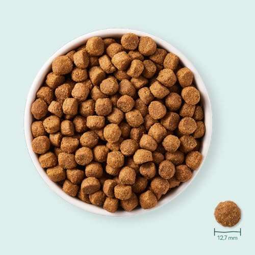 Yarrah Adult Nahrhaftes Bio-Trockenfutter für Hunde – für alle Erwachsenen Hunde | Exquisite Biologische Hundebrocken mit Huhn, 5kg | 100% biologisch & frei von künstlichen Zusätzen