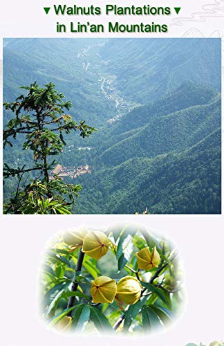 Delicious Linan Mountain Walnut Kernels Review: Salty Goodness!