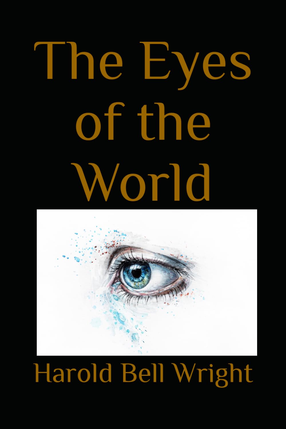 The Eyes of the World: A Novel of Ambition, Reputation, and Personal Conflict in Early Twentieth-Century America