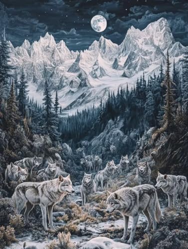 Pintura por Números Adultos Invierno Lienzo 50x70 Manualidades Principiantes Pigmentos Acrílicos