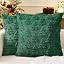 Dark Green-1