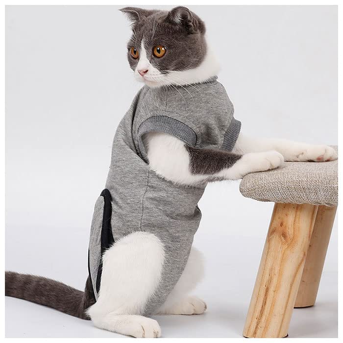 Amazon.co.jp: 猫 術後服 kcat11 Mサイズ グレー : ペット用品