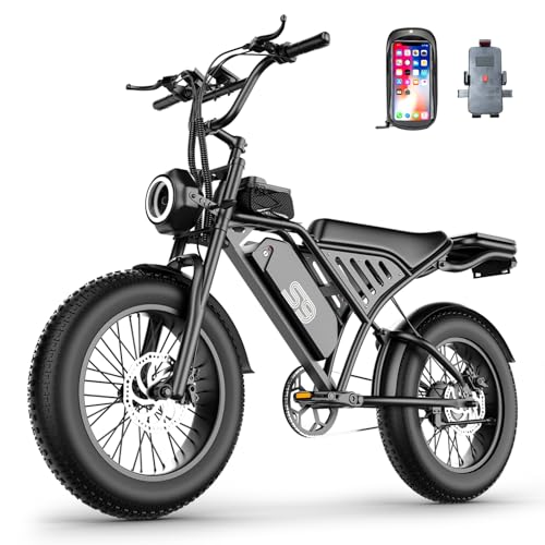 ASKGO Electric Bike for Adults, 2500W Peak Motor, 100 Miles & 30MPH, 20" Fat Tire All-Terrain Electric Dirt Bike with 48V 20AH Removable Battery, Dual Disc Brake Off Road E-Bike