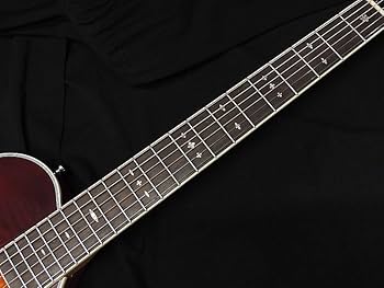 Aria Pro II APE-100 TS エレアコ ロック式ペグ交換済 APE-100 TS |