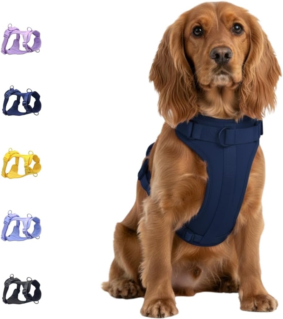 No Pull Dog Harness with 3 Leash Clips, Adjustable Vest, Easy Overhead Fit, No Choke Pet Vest, Soft Padding Chest Panel Gentle Leader for Dog Harness for Medium Dogs Blue