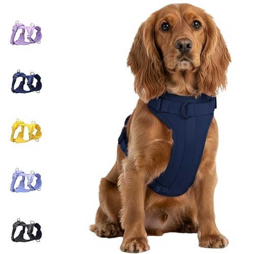 No Pull Dog Harness with 3 Leash Clips, Adjustable Vest,