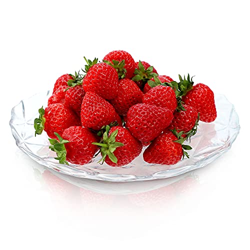 KADAX Piatto decorativo in vetro rinforzato