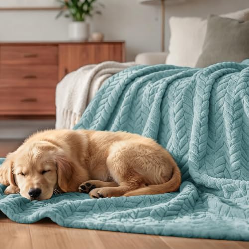 Image of Exclusivo Mezcla Fleece Throw Blanket for Couch Sofa, 50 inchx70 inch, Celadon