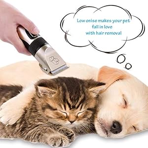 Pet Charging Electric Clippers,Pet Electric Shaver Cat and Dog Electric Hair Clipper,Dog Professional Beauty Trim Set Can Be Charged (Electric Clipper Set, Scissors, Comb)
