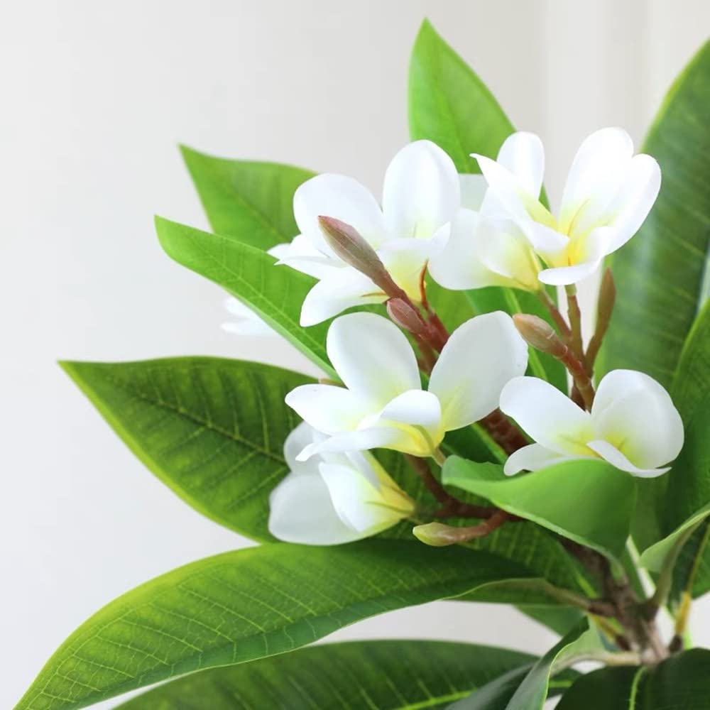 XIYUAN 35.5 Inch Artificial Flowers Artificial Frangipani Flower 2 Stems Lifelike Real Touch Artificial Plumeria Flowers for Home Party Wedding Bouquet Home Decoration (White) - Image 2