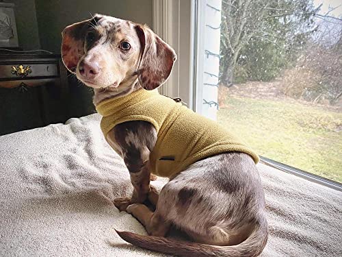 Image of Gooby Fleece Vest Dog Sweater, Honey Mustard, Medium