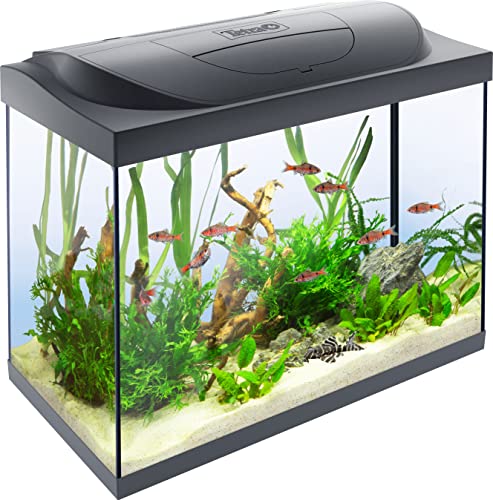 Tetra Starter Line LED 80 l Acquario per principianti, illuminazione LED con modalità luce diurna/notturna
