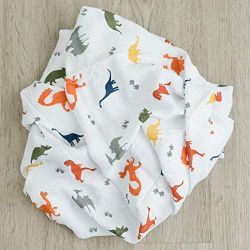 dinosaur swaddle