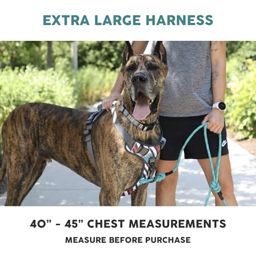 Embark Adventure Dog Harness, Reflective Trim XL Dog Harness for Extra Large Dogs No Pull - Military Grade Nylon, 2 Leash Clips & Gel Lined Handle. Soft & Padded Puppy Dog Harnesses for Any Breed