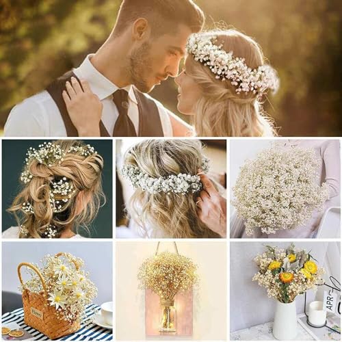 Image of Xtore Dried Warm Gold Grass Bunch for Home Decor (Pack of 1, Warm Gold)