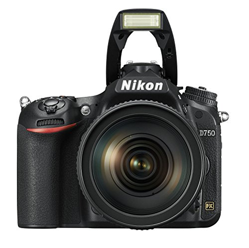 Nikon D750 cámara réflex 24.3 Mp negro solo cuerpo - Fernando Cortés