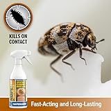 NOPE! CP Carpet Beetle Spray Killer - Fast Acting, Odourless and Stainless Carpet Beetle Treatment for home use (500ml). - Image 7