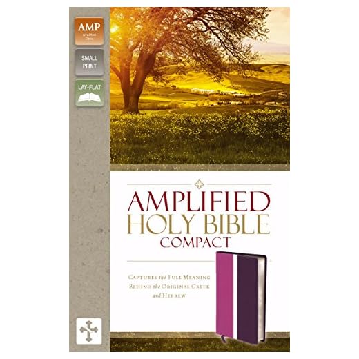 Amplified Holy Bible, Compact, Imitation Leather, Pink/Purple: Captures the Full Meaning Behind the Original Greek and Hebrew (Small Print)