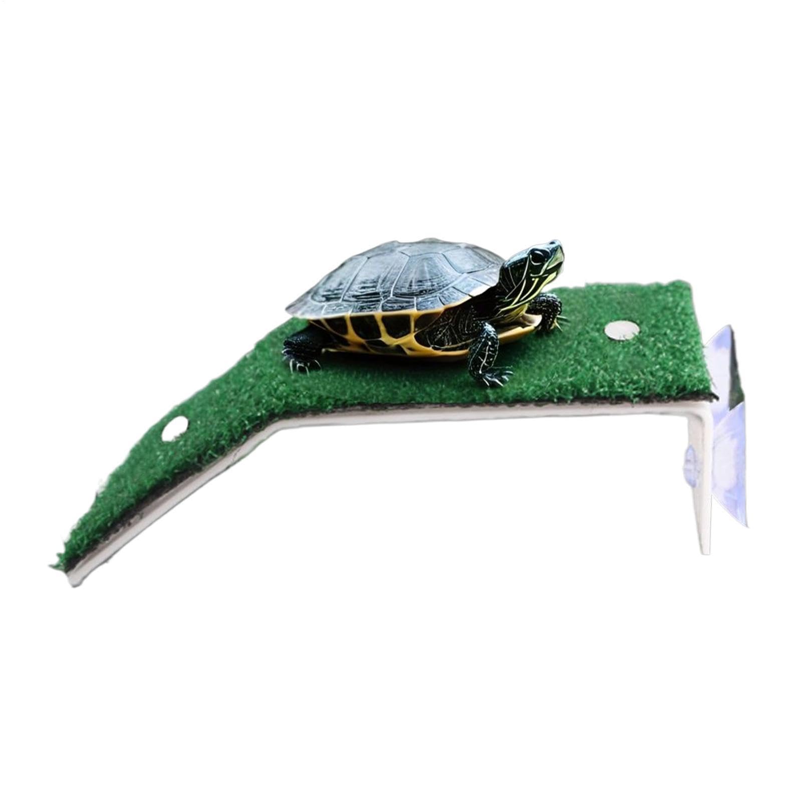 Molo per basking delle tartarughe - Piattaforma di riposo per acquario, simulazione di habitat terrestre per, terrazza solarium per rettili antiscivolo | Granchi Terrapin Rana Salamandra