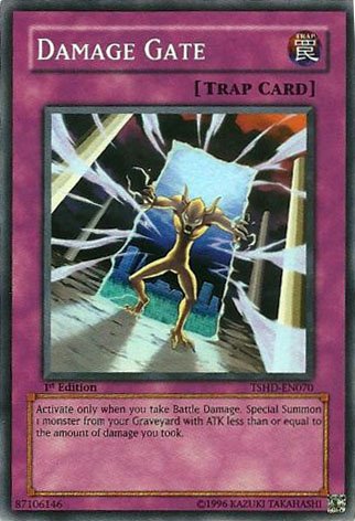 Amazon.com: Yu-Gi-Oh! - Damage Gate (TSHD-EN070) - The Shining Darkness -  1st Edition