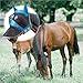 Prevent-Mosquito Horse Full Face Protection Mesh Mask with Nasal Cover Riding Equestrian Equipment for Horse(Black,S)