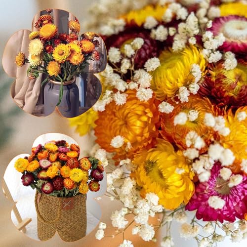 Miniatura 3 de Muyapay 20 Piezas Flores Secas Preservadas Naturales, Flores Secas Decorativas Crisantemo, Flore Manualidades Colores Mixtos Para Decoracion Ramos Diy Arreglos Florales De Boda Y Decoracion Del Hogar