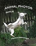  ANIMAL PHOTOS SMILE