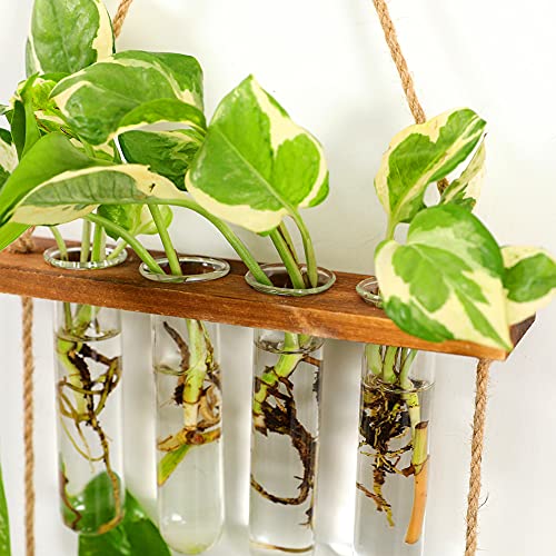 Wall Hanging Planter, 2 Tiered Plant Propagation Stations Plant Terrarium With Wooden Stand, Glass Planter Test Tube Vase For Propagating Hydroponic Plants Home Decor #TOP3